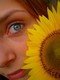 Sunflowerin