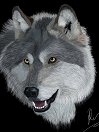 28weisswolf