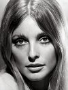 Sharon Tate