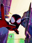 Animovaný Spider-Man je v problémech