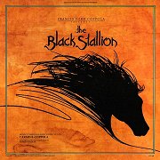 The Black Stallion