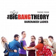 The Big Bang Theory