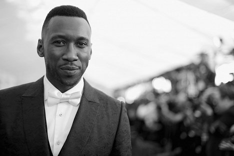 Mahershala Ali attends the 25th Annual Screen Actors Guild Awards at The Shrine Auditorium on January 27, 2019 in Los Angeles, California - Mahershala Ali - Z akcí