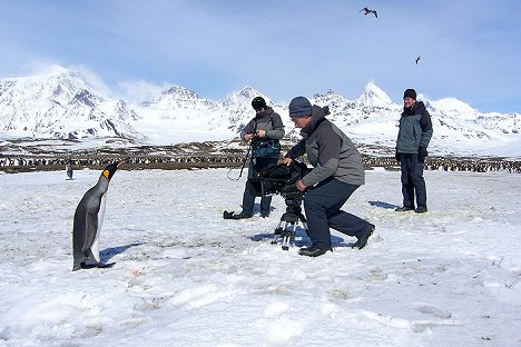 Nigel Marven - Nigel Marven a tučňáci - Z filmu
