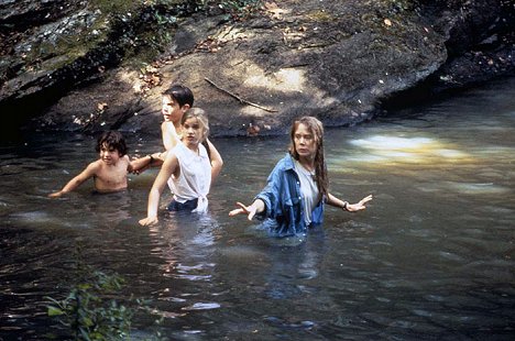 Asher Metchik, Aaron Michael Metchik, Anna Chlumsky, Sissy Spacek - Koupím matku. Zn.: Za babku - Z filmu