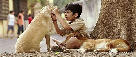 Darsheel Safary