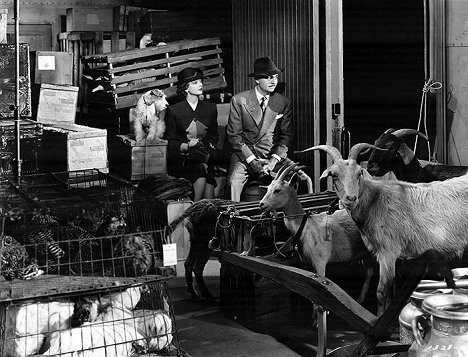 Asta, Myrna Loy, William Powell - The Thin Man Goes Home - Z filmu