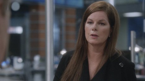 Marcia Gay Harden - Newsroom - Uteč - Z filmu