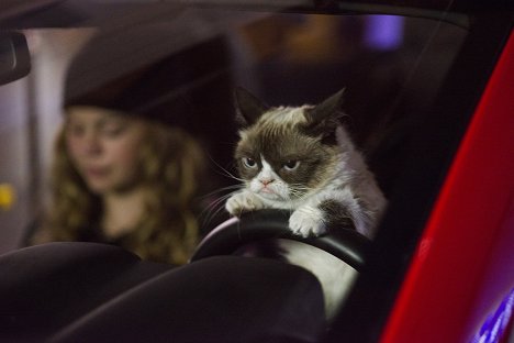 Grumpy Cat - Grumpy Cat's Worst Christmas Ever - Z filmu