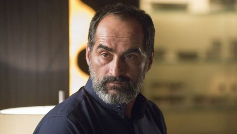 Navid Negahban