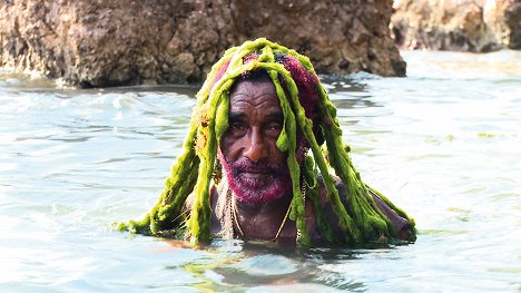 Lee "Scratch" Perry - Lee Scratch Perry's Vision of Paradise - Z filmu