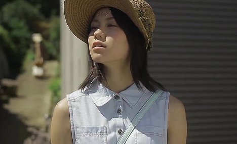 Fumi Nikaidó - Hotori no sakuko - Z filmu