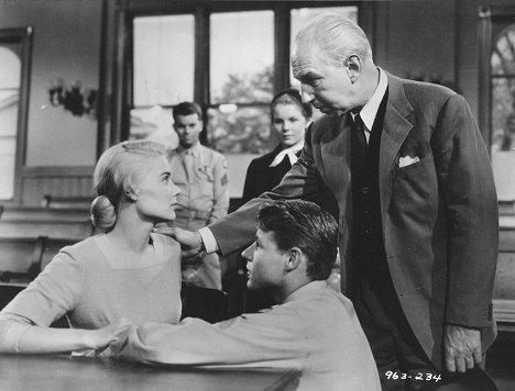 Hope Lange, David Nelson, Lloyd Nolan - Peyton Place - Z filmu