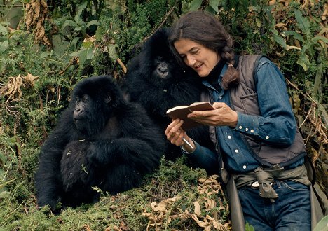 Dian Fossey - Fosseyová a tajemství v mlze - Z filmu