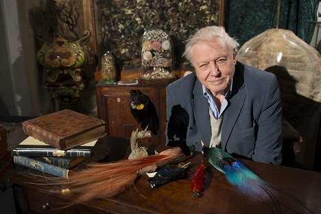 David Attenborough - David Attenborough: Rajští ptáci - Z filmu