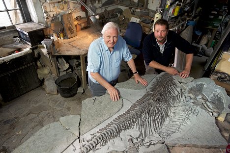 David Attenborough - David Attenborough a mořský drak - Z filmu
