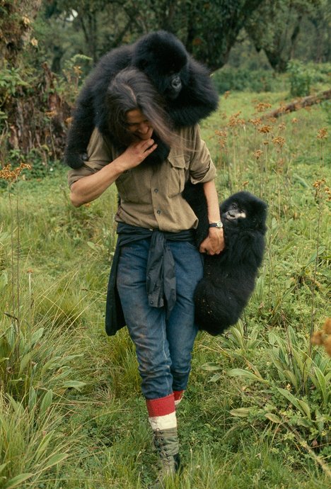 Dian Fossey - Fosseyová a tajemství v mlze - Z filmu