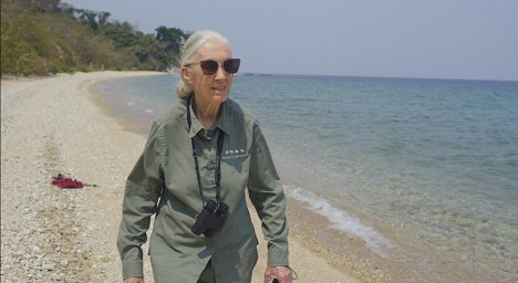 Jane Goodall - Jane Goodallová: Naděje - Z filmu