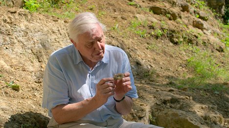 David Attenborough - David Attenborough: Život na naší planetě - Z filmu