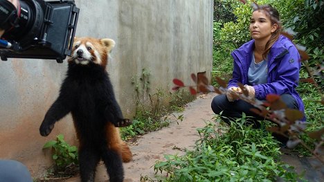 Annika Preil - Anna und die wilden Tiere - Wo versteckt sich der Rote Panda? - Z natáčení