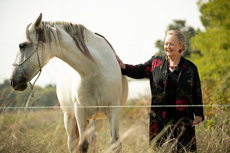 Barbara Schöne - Ein Tisch in der Provence - Ein Tisch in der Provence: Unverhoffte Töchter - Z filmu