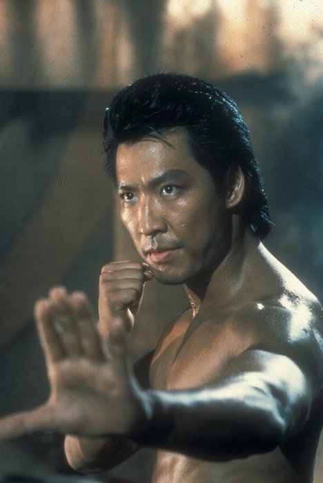 Phillip Rhee - Karate tiger 6: Nejlepší z nejlepších 2 - Z filmu