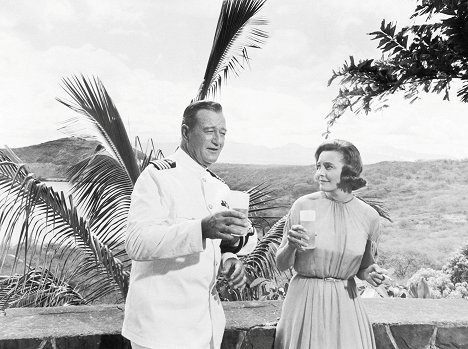 John Wayne, Patricia Neal