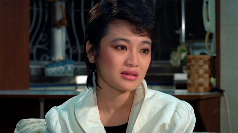 Sylvia Chang - Dai jian de xiao hai - Z filmu