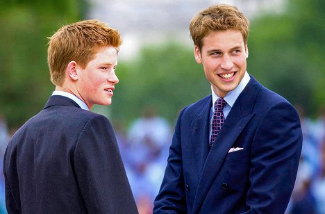 Princ Henry z Walesu, princ William - Harry vs. William - Der royale Bruderzwist - Z filmu