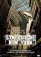 Synecdoche, New York