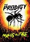 The Prodigy: World's on Fire