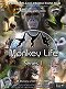 Opičí život