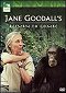 Návrat Jane Goodallové do Gombe