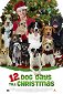 12 Dog Days of Christmas