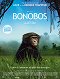 Bonobos : Back to the Wild