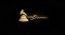 Grammy Awards 2016