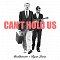 Macklemore & Ryan Lewis ft. Ray Dalton - Can't Hold Us