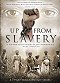 Dějiny otrokářství v USA