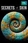 Secrets of Skin