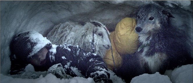 Země ledních medvědů - Z filmu - Bergþór Þorvaldsson