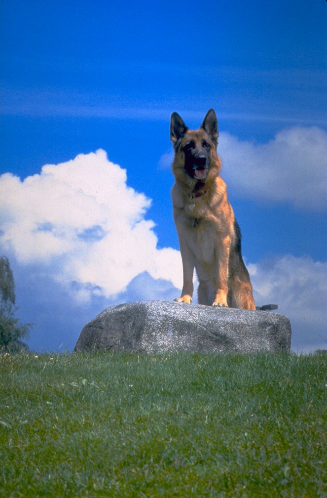 K-9: Soukromý detektiv - Z filmu