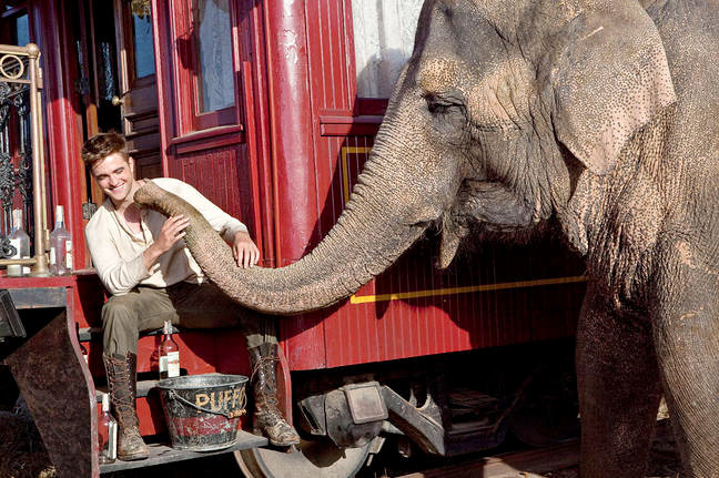 Voda pro slony - Z filmu - Robert Pattinson