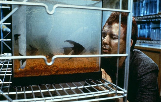 Dravé ryby - Z filmu - Mickey Rourke