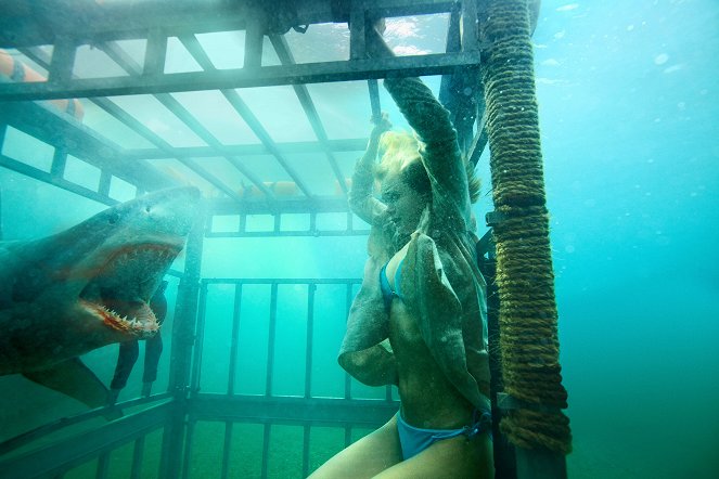 Noc žraloka 3D - Z filmu - Sara Paxton