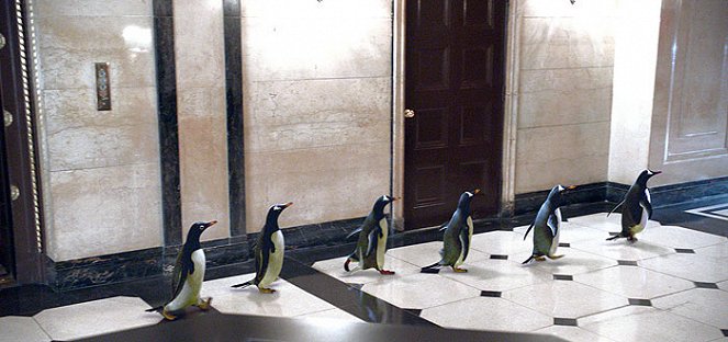 Pan Popper a jeho tučňáci - Z filmu