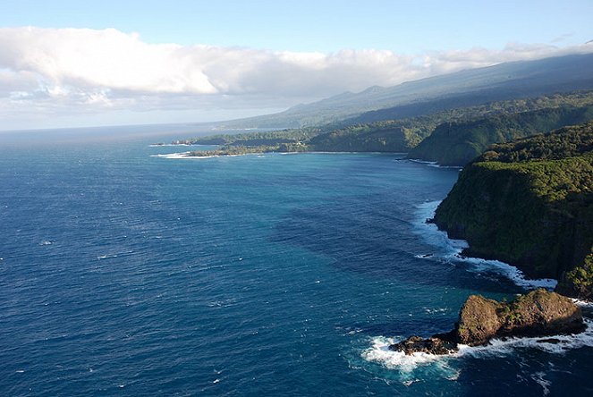 Havajské ostrovy - ráj velryb - Z filmu