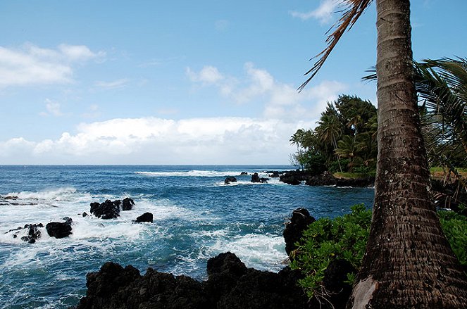 Havajské ostrovy - ráj velryb - Z filmu