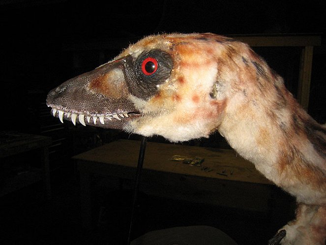 Rekonstrukce Tyranosaura Rexe - Z filmu