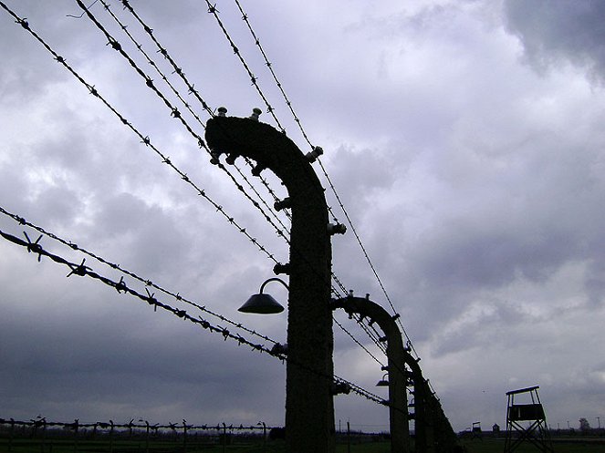 Fotoalba z koncentračního tábora Osvětim - Z filmu