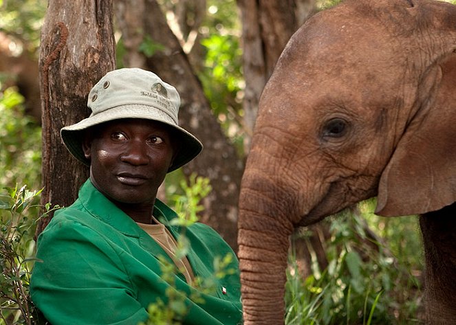 Pro lásku slonů - Z filmu